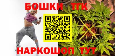 спиды Дубна