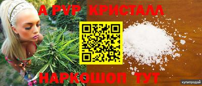 индика Донской