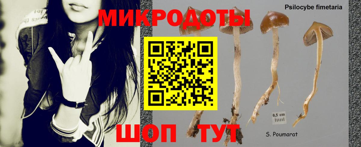 Псилоцибиновые грибы Cubensis  Вход с VPN  Псилоцибиновые грибы прущие грибы  Лесозаводск 