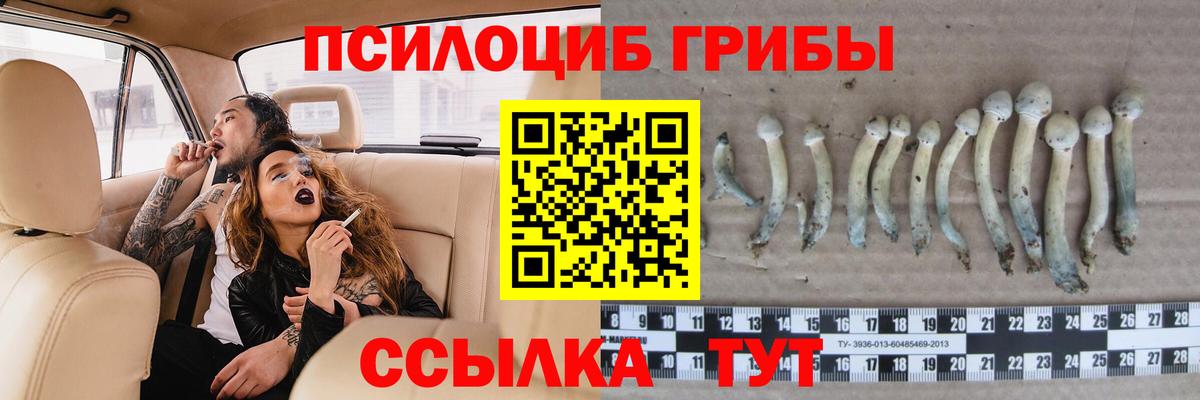 Галлюциногенные грибы Magic Shrooms Лесозаводск